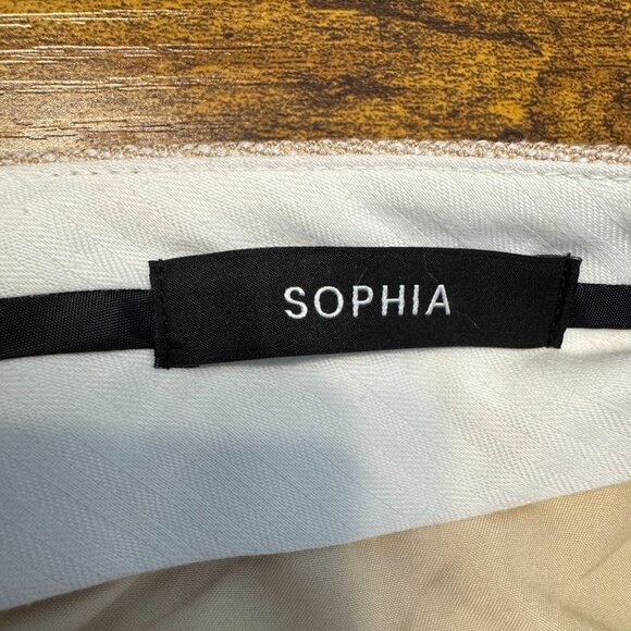 Ann Taylor Sophia Straight Leg Pants Women Size 10 Stretch Work Career Old Money - Picture 4 of 7